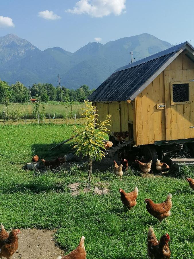 Glamping Mohorjev grunt Hotell Preddvor Exteriör bild
